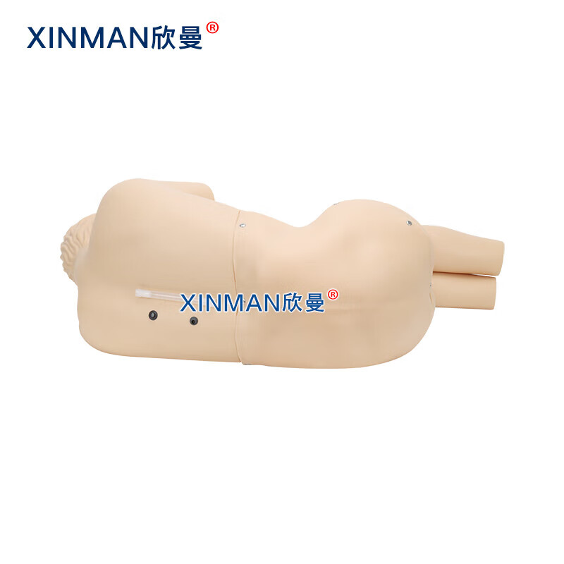 欣曼科教 腰椎穿刺模拟人 教学用腰椎穿刺训练模型XM-YC02高清大图