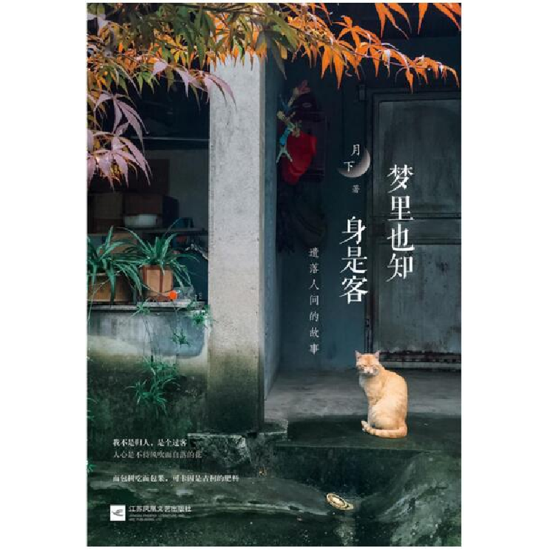 正版 梦里也知身是客:遗落人间的故事 月下著 江苏凤凰文艺出版社高清大图