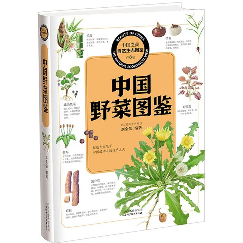 【M】中国野菜图鉴-9787537750264