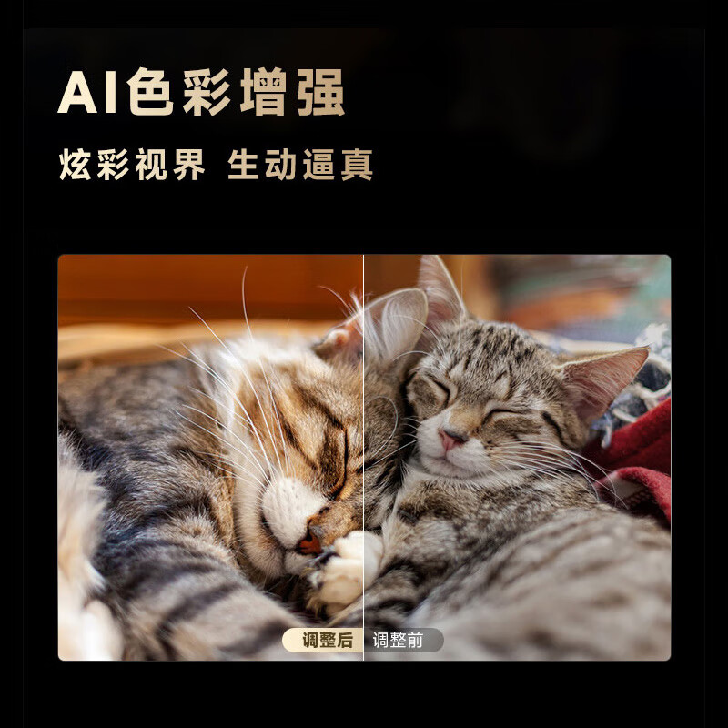 海尔(Haier)55D50 55英寸4K超高清智能电视120Hz高刷2+32GB高清大图