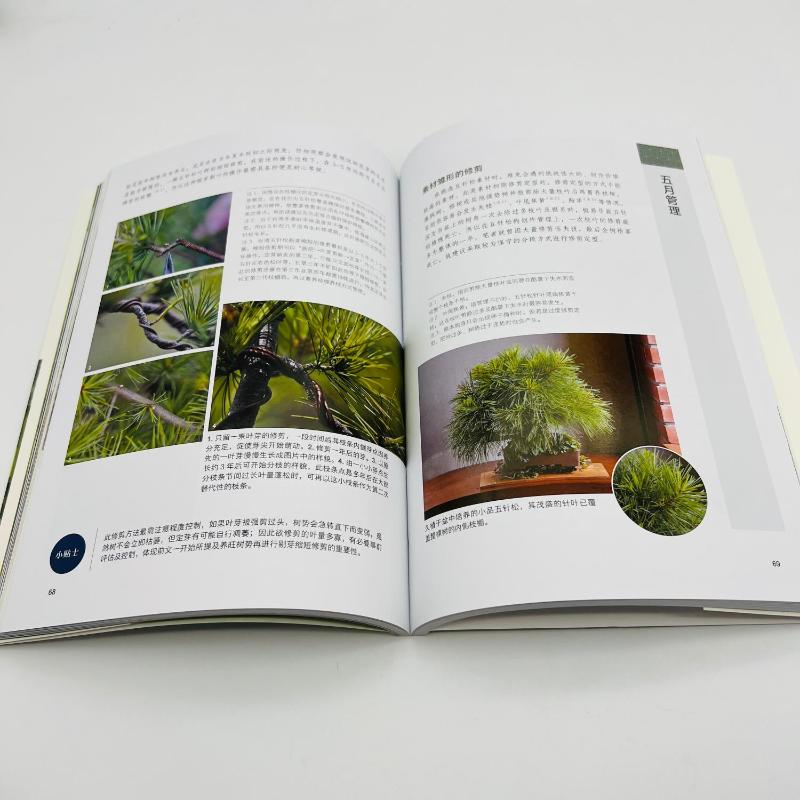 [醉染正版]图解五针松盆景制作技艺 刘立华 著 养花书籍高清大图