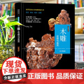 【正版】木雕收藏与鉴赏根雕根艺崖柏木工雕刻古玩文玩入门基础知识百科指南手串挂件佛珠养护鉴赏收藏世界高端文化珍藏图鉴大系