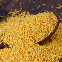 珍佰粮 黄小米1kg×2袋 查干湖4斤袋装组合小米 东北查干湖原产 五谷杂粮 小米清粥