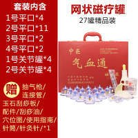 国医研中医气血通拔罐器27罐真空磁疗家用抽气式拨火罐美容院专用 气血通网状磁疗罐套装