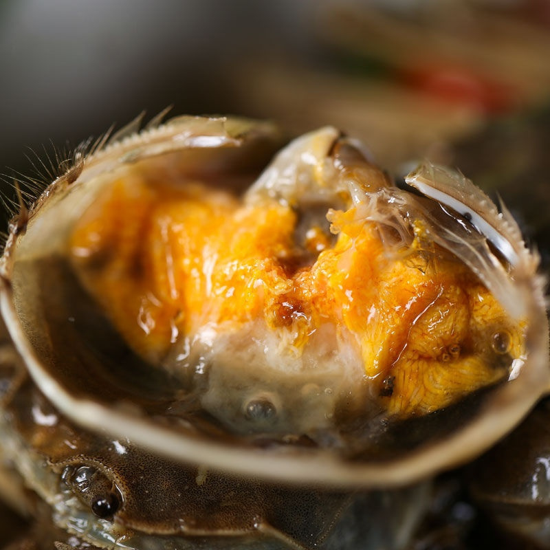 醉毛蟹900g醉蟹开罐即食酱油蟹腌螃蟹酱香罐装醉河蟹宁波海鲜