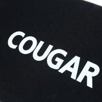 美洲狮（COUGAR） 长板滑板四轮成人儿童青少年抖音男女舞板Dancing公路代步刷街滑板