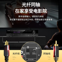 先科(SAST)G-100 功放机 家庭影院5.1声道AV功放机 高保真无线蓝牙家用卡拉ok功放