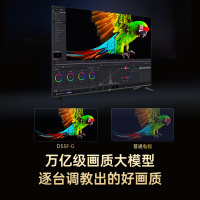 长虹电视55D55F-G 55英寸电视 语音声控 4K超高清平板液晶LED电视机 以旧换新政府补贴