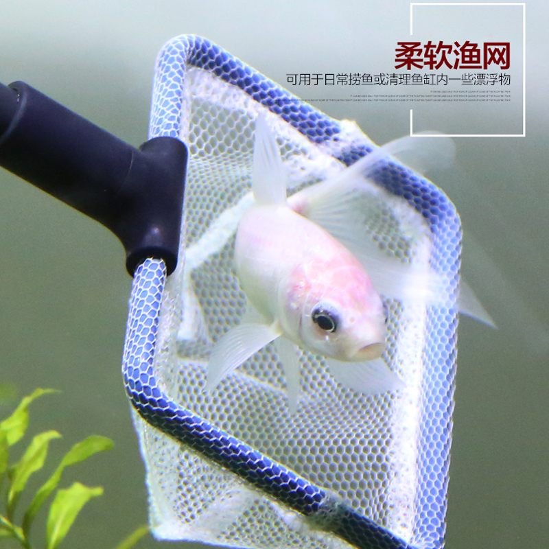 鱼缸清洁套装鱼捞网刮藻刀水夹鱼缸刷玻璃擦 长柄清洗工具高清大图