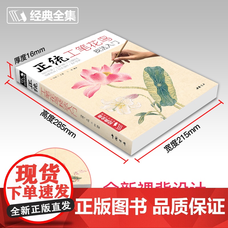 经典全集正统工笔花鸟技法入门基础教程书籍中国工笔画稿白描勾线牡丹上