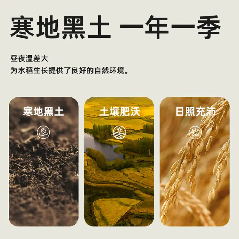 十月稻田五常双米饭混合饭料2.5kg 大米玉米同煮同熟家用谷物饭料高清大图