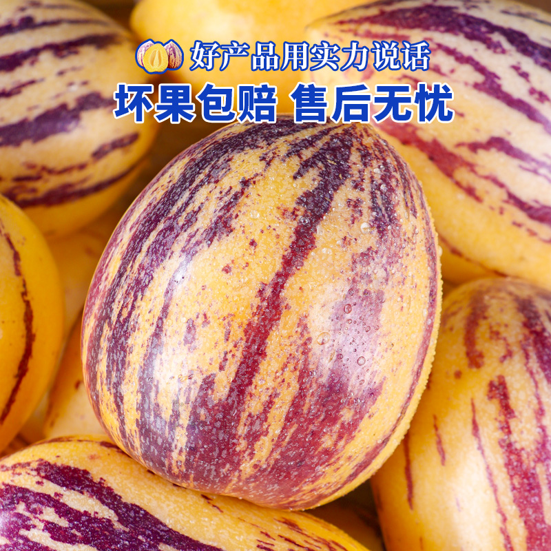 [苏鲜生 ]甘肃民勤沙漠人参果 净重3斤 特大果 新鲜水果整箱一级人生果高清大图