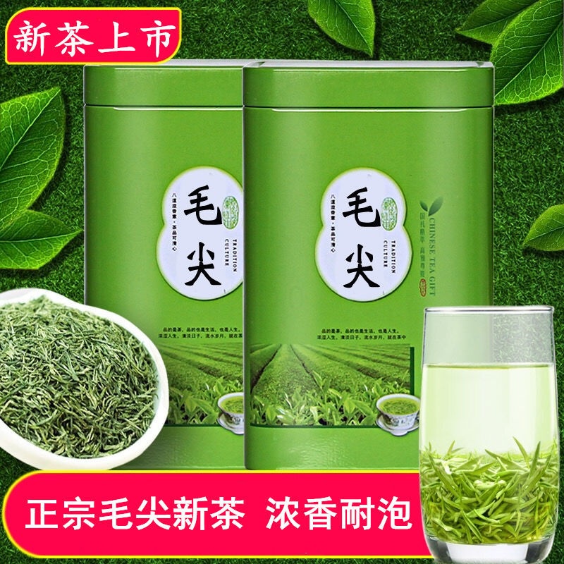 2021毛尖茶葉特級バルク500g O1CN01XcHQ4N28INWtT6gTp_!!