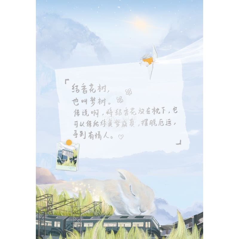 [正版]印特签带我去你的岛 番大王著赠纸立牌+书签+明信片+合照原名去你的岛 晋江文学城校园爱情青春文学言情小说实体书高清大图