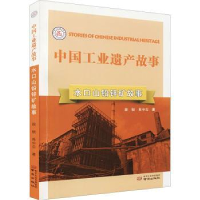 诺森水口山铅锌矿故事段锐//肖中云9787553335360南京出版社