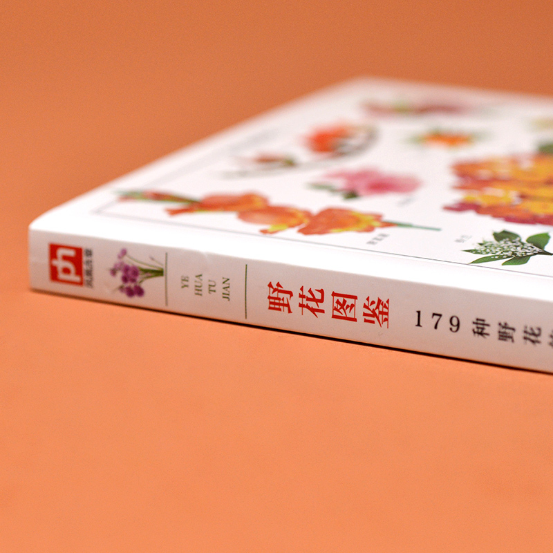 野花图鉴 [正版]野花图鉴 179种野花的了解与鉴赏 野外常见花卉园林植物识别图鉴 植物图鉴百科全书 花卉养殖生长习性科