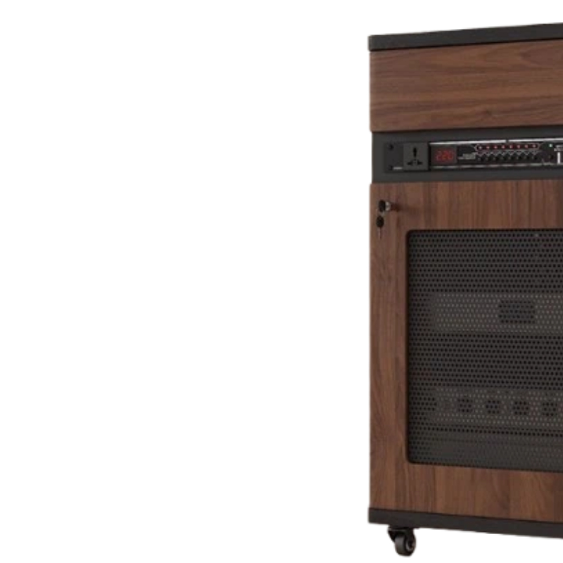 戴阳木制机柜PT-R1.2(拍前需联系客服)高清大图