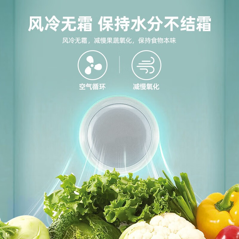 Royalstar/荣事达212升双门冰箱一级能效小两门电冰箱家用双人宿舍 风冷无霜 低噪节能省电R212F