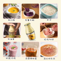 小熊(Bear)料理辅食机 家用婴儿宝宝绞肉机食物搅拌机 多功能迷你小型电动切碎机 0.6L玻璃杯体 QSJ-B02R1