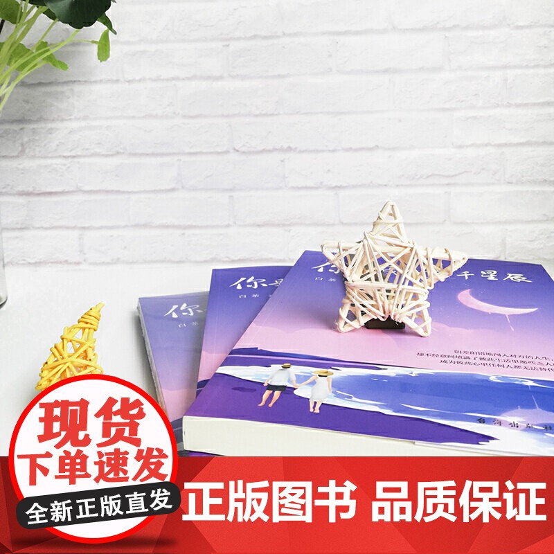 你是我的万千星辰 白茶 台海出版社 正版书籍高清大图