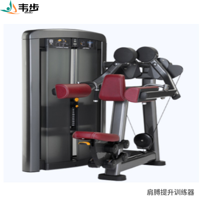 韦步LS508商用坐式肩膊提升侧平举肩外展三角肌训练局部型力量器械高清大图