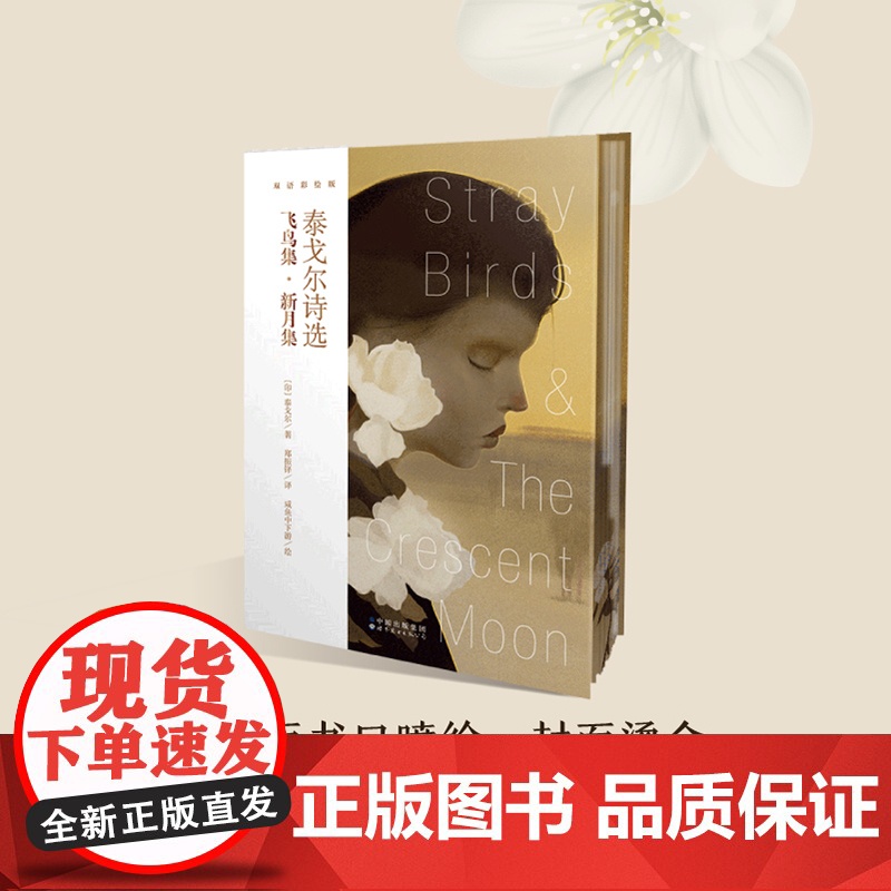 泰戈尔诗选 新月集飞鸟集 咸鱼中下游绘双语彩绘版 英语英文诗歌 文学诗集外国诗歌名著英美文学 泰戈尔诗集飞鸟集泰戈尔正高清大图