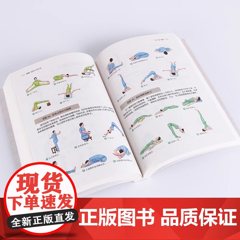 正版 图解瑜伽与普拉提 彩图版 初学者从新手到高手女性美容美体减肥减脂瘦身塑身零基础教程 瑜伽入门与训练教图解普拉提教程高清大图