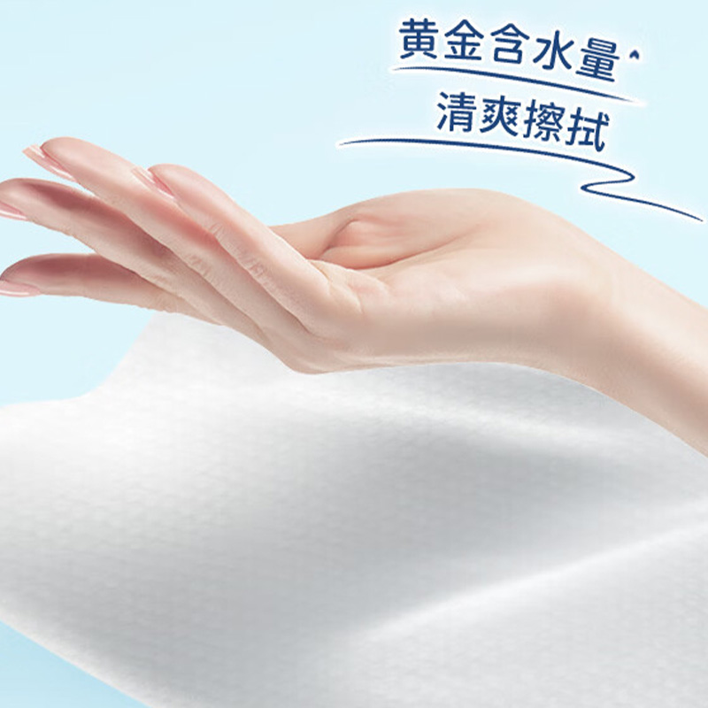 清风湿巾10片*20包QSQBWA10C3-20B柔软亲肤(包装随机)高清大图