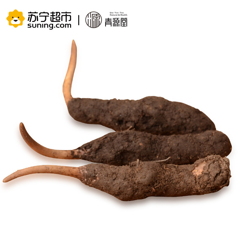 青源堂 冬虫夏草 0.7克/条 40条装28克 新鲜冬虫夏草青海玉树高海拔雪山虫草正品 可泡酒泡水