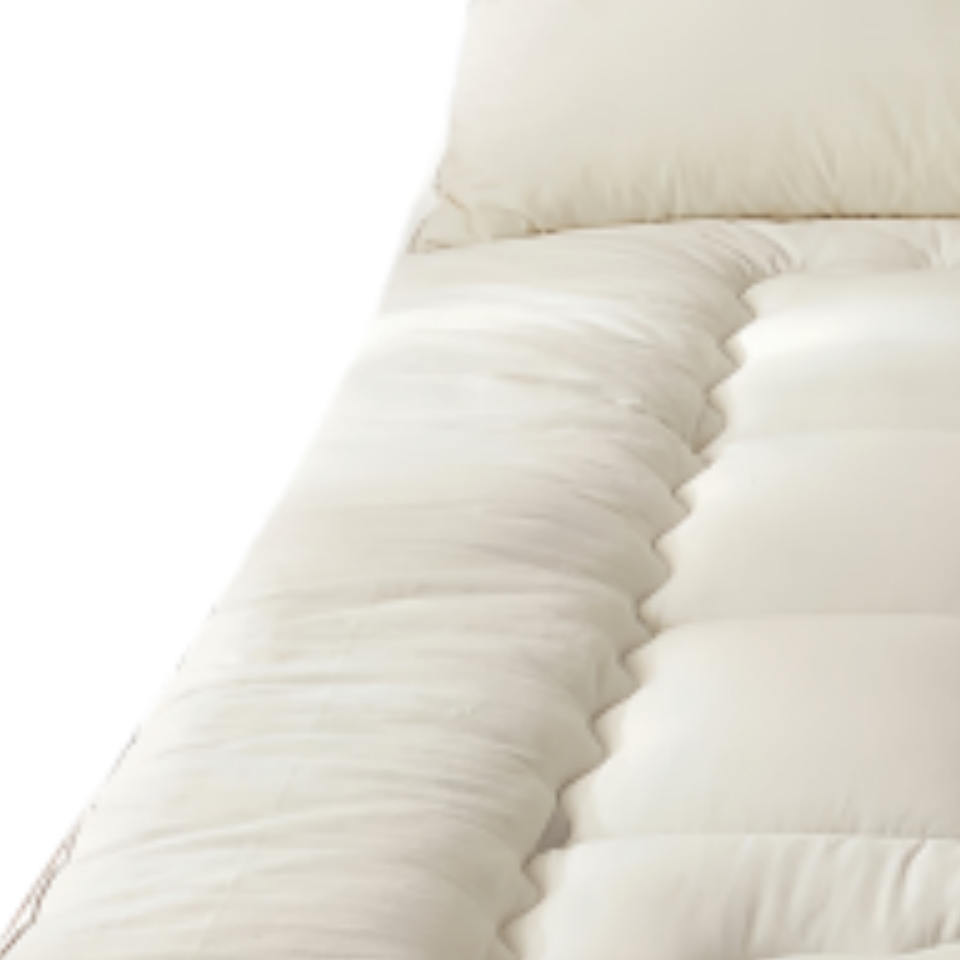 亿洛莱褥子90x200cm 3斤床高清大图