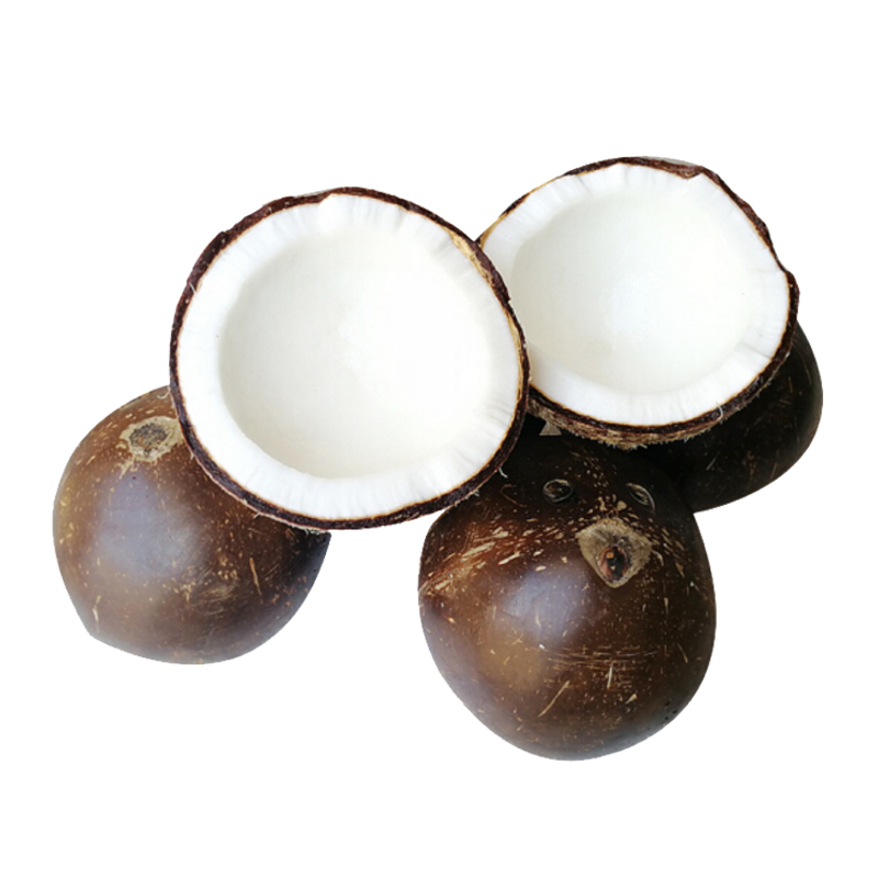 海南黑壳牛奶椰皇椰子8枚装时令新鲜水果味道香甜陈小四水果