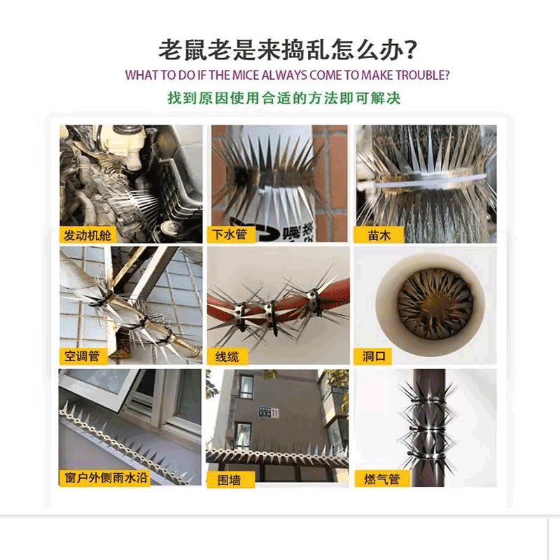 不锈钢防蛇 防鼠 防爬刺 50mm高清大图