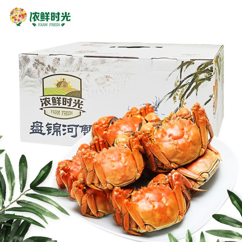 [礼盒]浓鲜时光盘锦河蟹大闸蟹稻田蟹活蟹1388型母蟹3.0两公蟹4.0两各4只共8只螃蟹图片