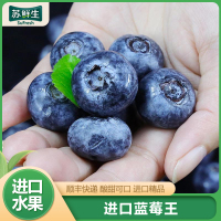 【苏鲜生】顺丰快递 秘鲁进口蓝莓王 个头饱满 4盒 125g/盒 口感甜蜜