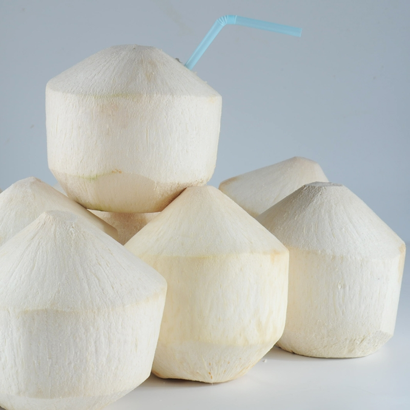 [五个农民]泰国奶香椰青 2个装 单果600-800g 新鲜椰子送开椰器