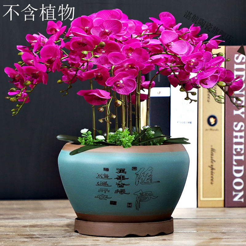多肉菖蒲盆粗陶透气简约六方四方盆有孔绿植兰花套装花盆紫砂大号