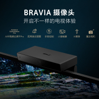 Sony/索尼 XR-65A95L 65英寸量子点OLED电视 旗舰电视 XR认知芯片