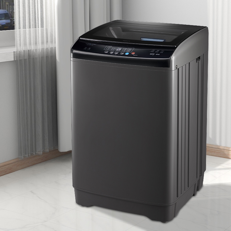 志高通用XQB100-6N68高清大图