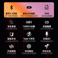 纽曼 X5 蓝牙耳机真无线 半入式音乐耳麦 蓝牙5.3游戏低延迟适用苹果安卓小米华为运动跑步长续