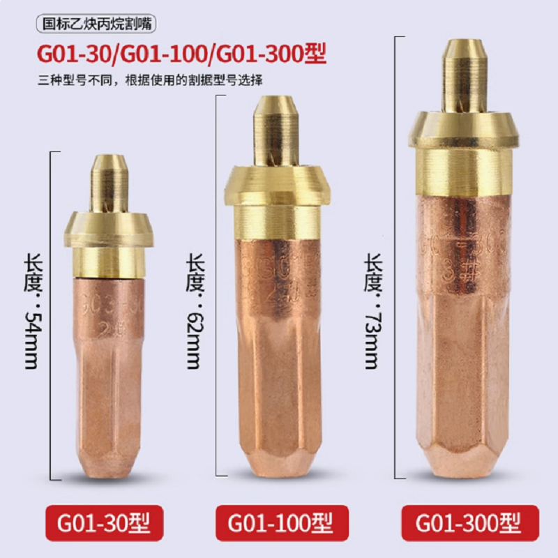 国盛(GUOSHENG) 丙烷割嘴G01-300-4#