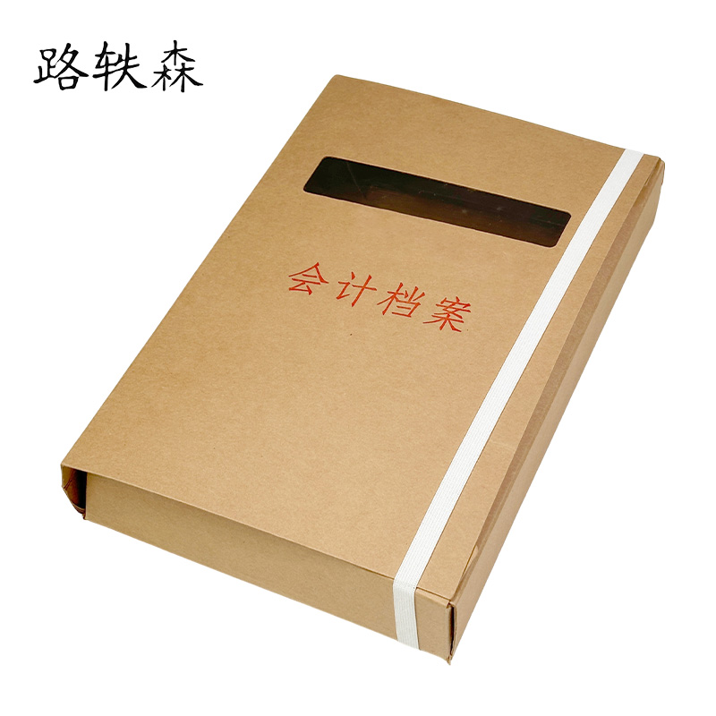 路轶森 财务档案盒 23*35.5*6cm 个