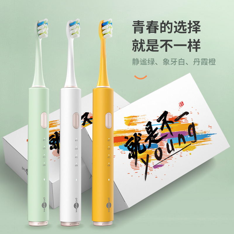 博皓电动牙刷男女情侣款成人充电式全自动电动牙刷防水声波震动牙刷微气泡牙刷 2411/T32