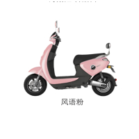 新日(sunra)电动车 龟王系列 小柚果48V20Ah