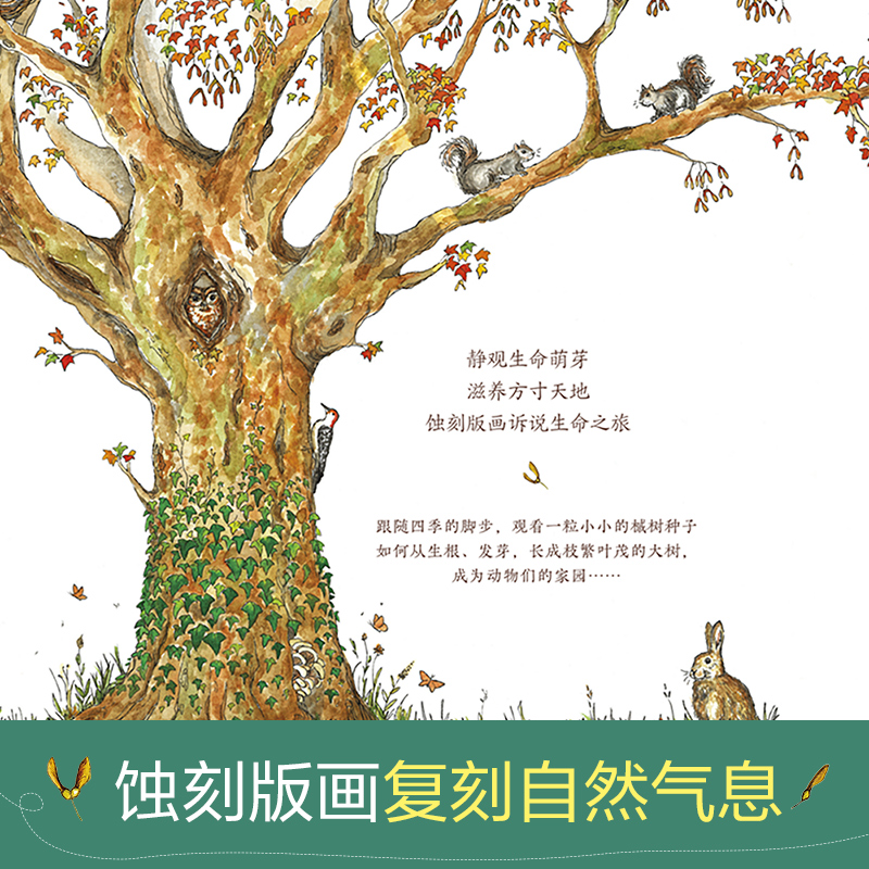 从一粒种子开始 [正版]童书从一粒种子开始 3-6岁绘本故事书 睡前故事书 亲子互动 精装硬皮绘本 成长教育 儿童绘本故高清大图