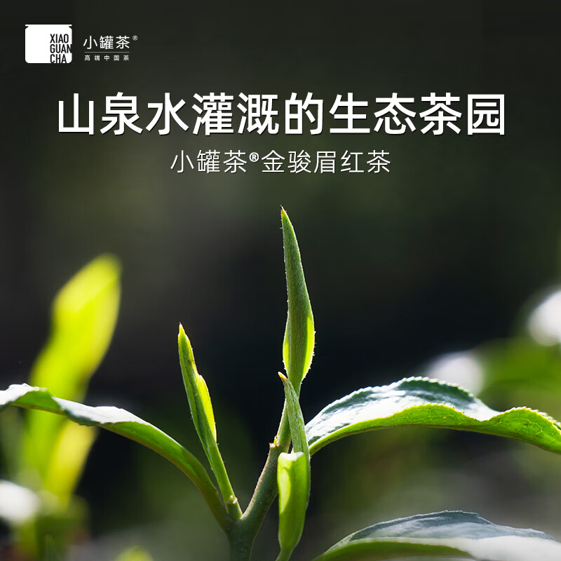 小罐茶银罐系列特级金骏眉红茶茶叶礼盒商务礼赠 花果香馥郁 金骏眉茶(畅享) 10罐装40g高清大图