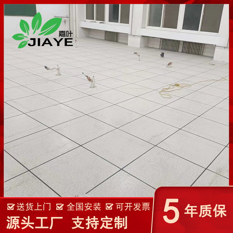 嘉叶JY-900全钢防静电地板E1级高清大图