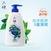六神 劲凉酷爽 沐浴露750ml两瓶装(男士女士沐浴乳液 清新薄荷香 保湿滋润 劲凉提神 3重薄荷精华 )