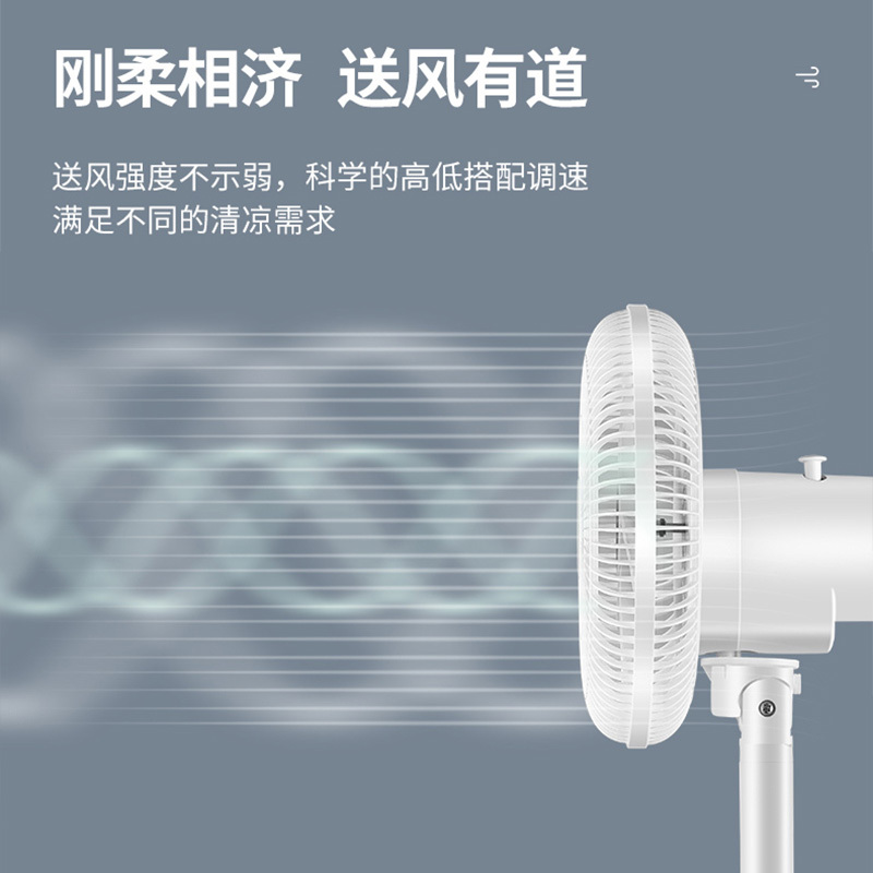 赛亿(Shinee)电风扇落地扇 家用办公室台立升降式静音可摇头非遥控六风叶电风扇FS-N9-D(定时延长线款)