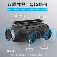 索爱 S69无线蓝牙音箱大音量户外随身迷你便携式手机车载小钢炮家用闹钟收音机电脑超重低音炮双振膜插卡音响