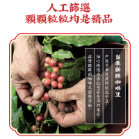 新加坡金祥麟二合一黑咖啡咖啡纯黑挂耳咖啡袋泡咖啡粉原装进口*5